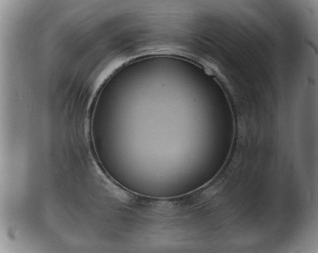 X0000100871424200806271102