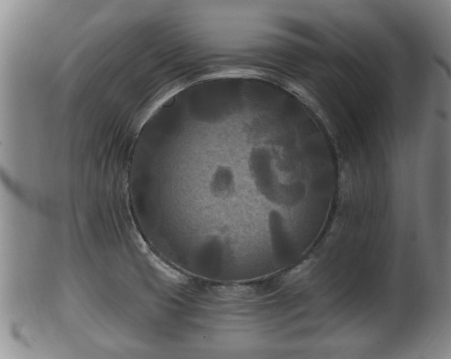 X0000100871425200806271102