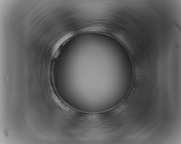 X0000100871426200806271102