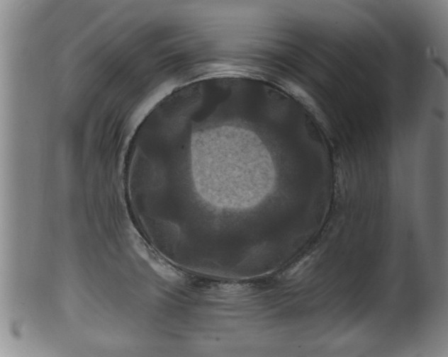 X0000100871427200806271102