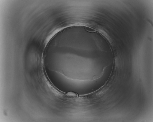 X0000100871428200806271102