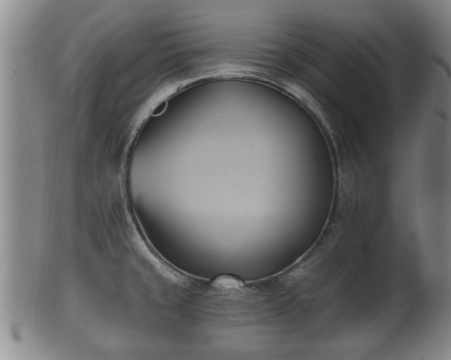 X0000100871429200806271102