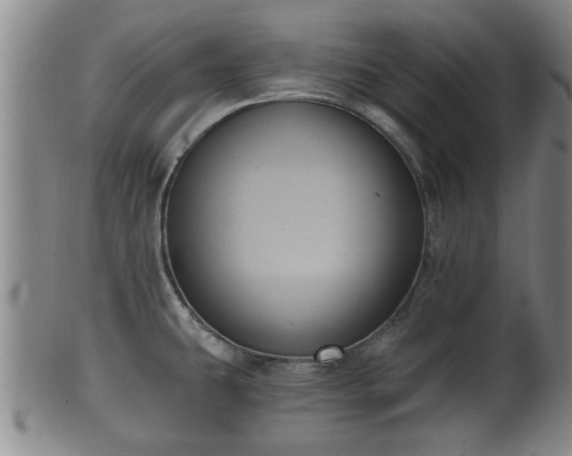 X0000100871431200806271102