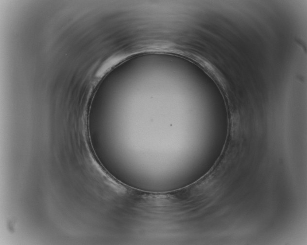 X0000100871432200806271102