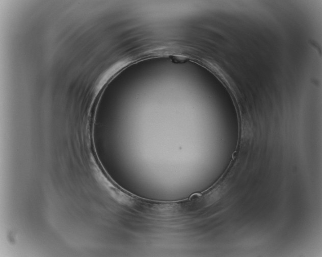 X0000100871434200806271102