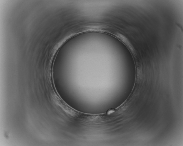 X0000100871435200806271102