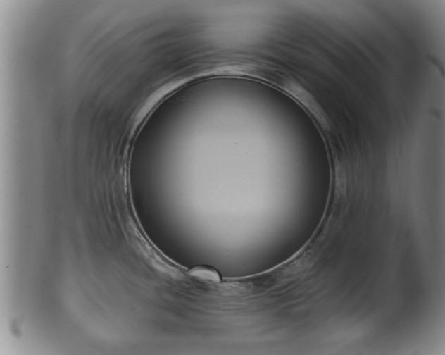 X0000100871436200806271102