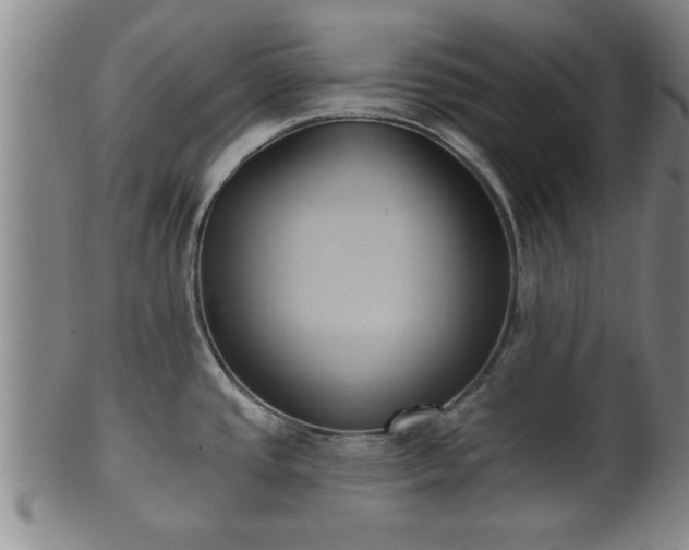 X0000100871437200806271102