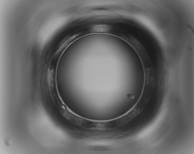 X0000100871438200806271102