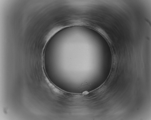 X0000100871439200806271102