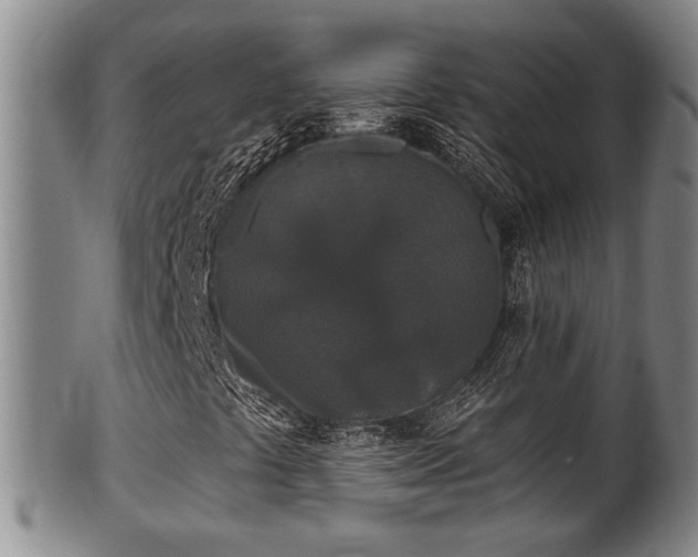 X0000100871441200806271101