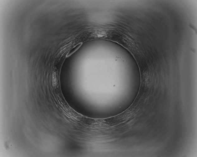 X0000100871442200806271101