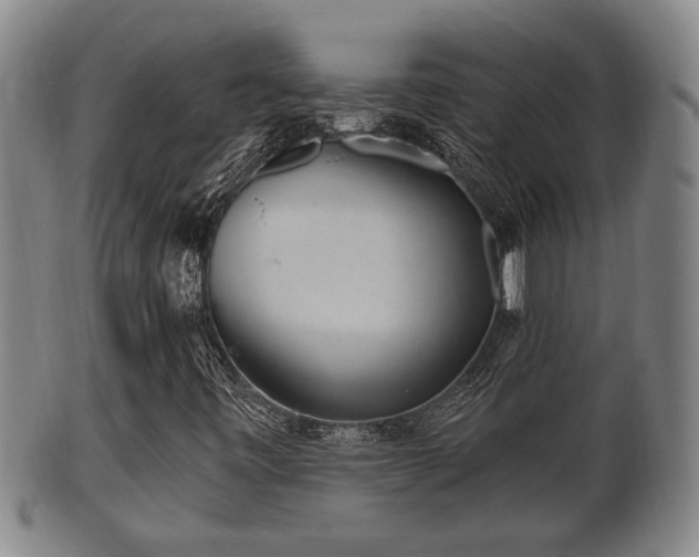 X0000100871443200806271101