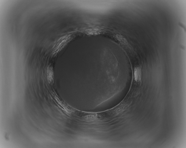 X0000100871444200806271101