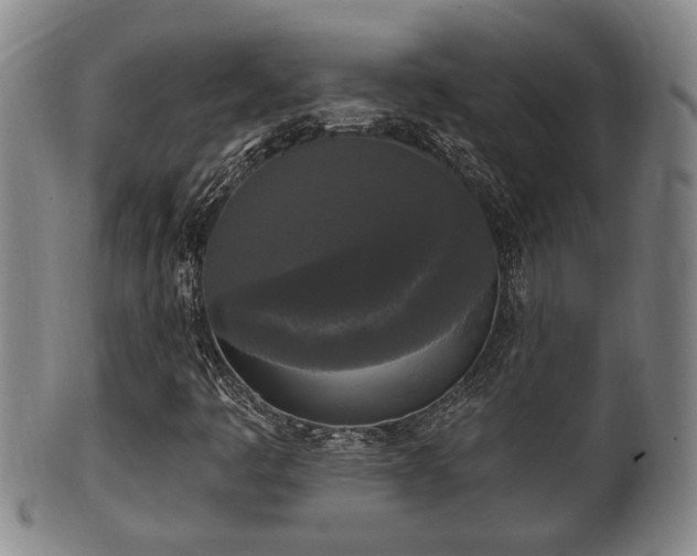 X0000100871445200806271101