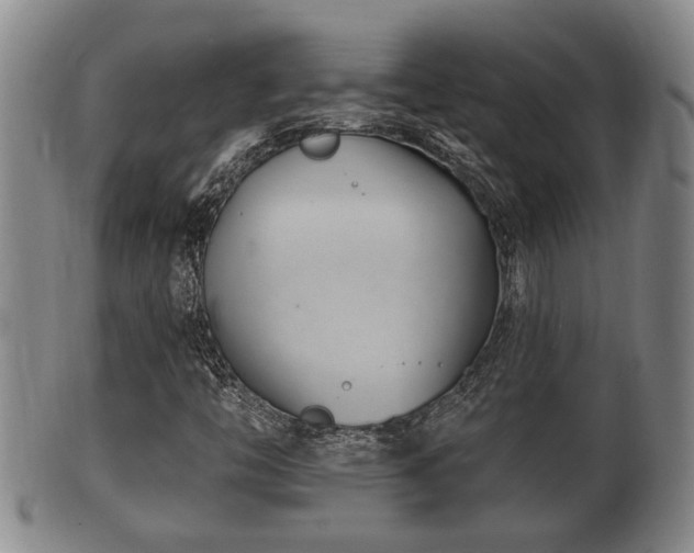 X0000100871446200806271101