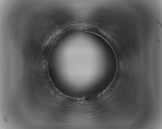 X0000100871447200806271101