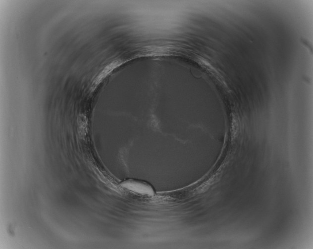 X0000100871449200806271101