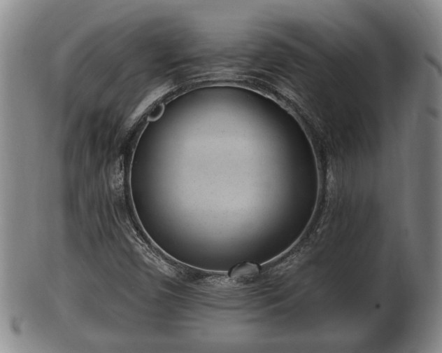 X0000100871450200806271101