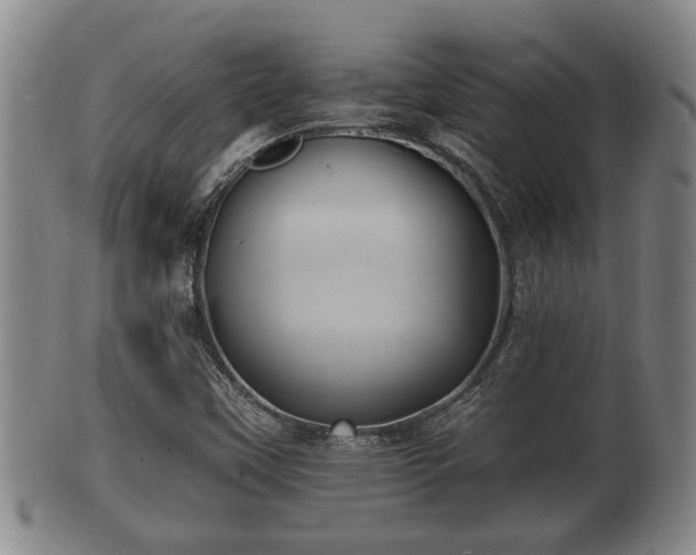 X0000100871451200806271101