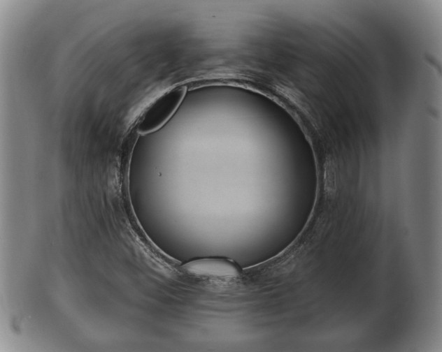 X0000100871452200806271101