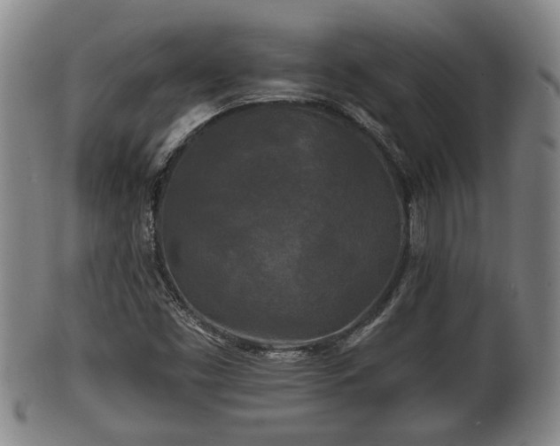 X0000100871453200806271101