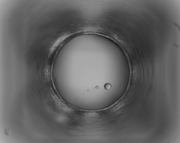 X0000100871454200806271101