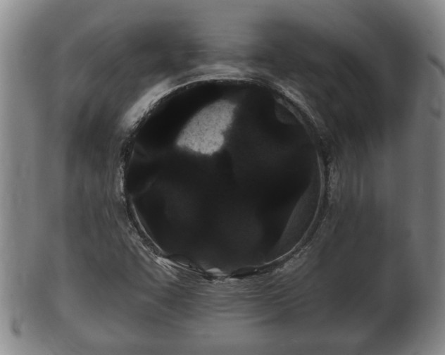 X0000100871455200806271101