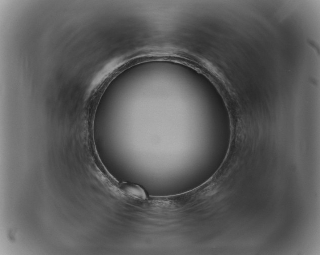 X0000100871456200806271101