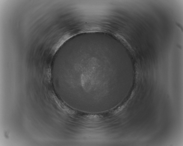 X0000100871457200806271101