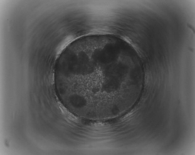 X0000100871459200806271101