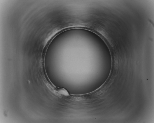 X0000100871460200806271101