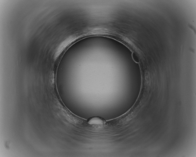 X0000100871461200806271101