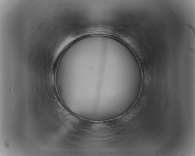 X0000100871462200806271101