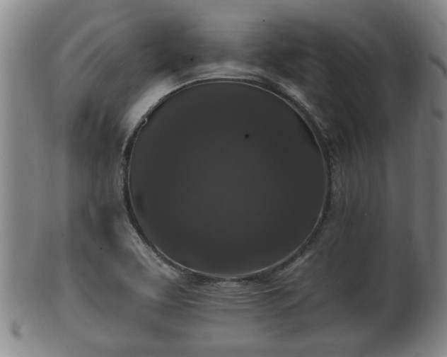 X0000100871463200806271101