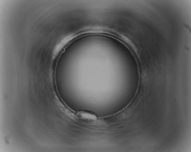 X0000100871464200806271101