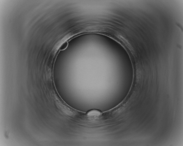 X0000100871465200806271101