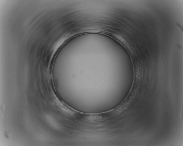 X0000100871466200806271101