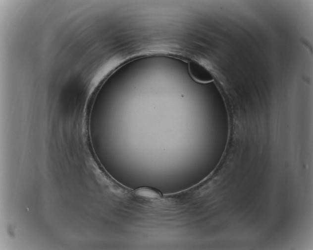 X0000100871469200806271101