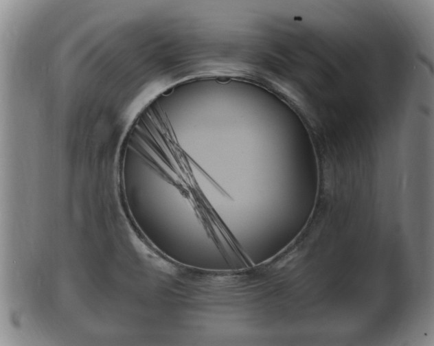 X0000100871471200806271100