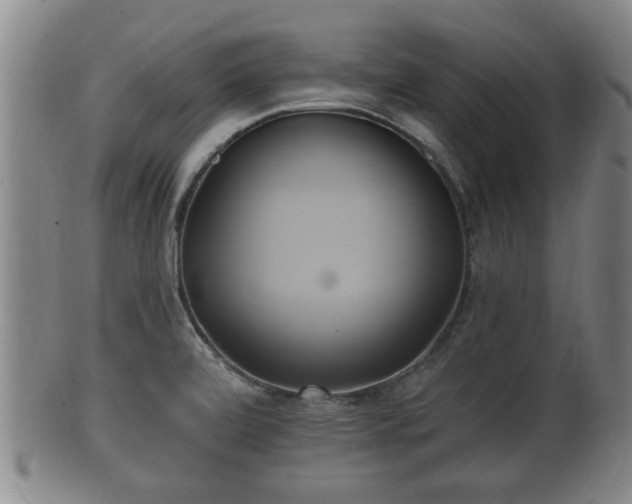 X0000100871472200806271100