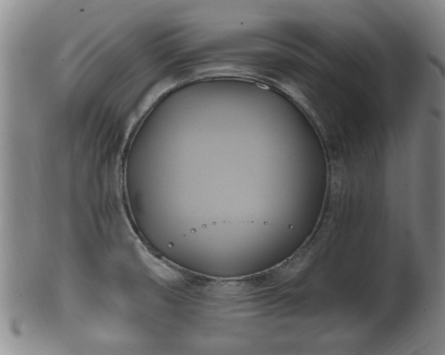 X0000100871474200806271100