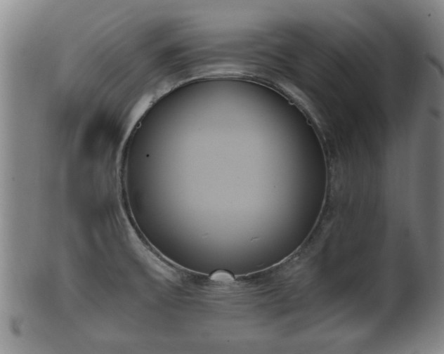 X0000100871475200806271100