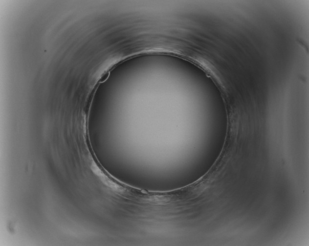 X0000100871476200806271100