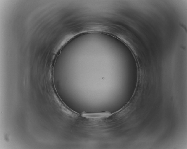 X0000100871477200806271100