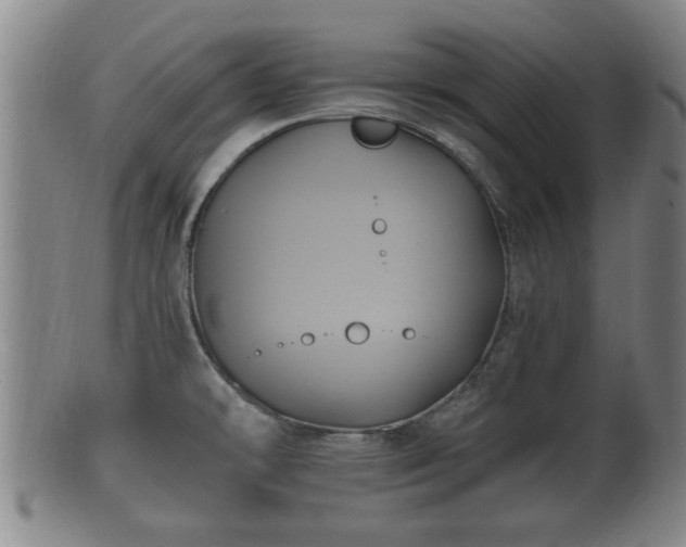 X0000100871478200806271100