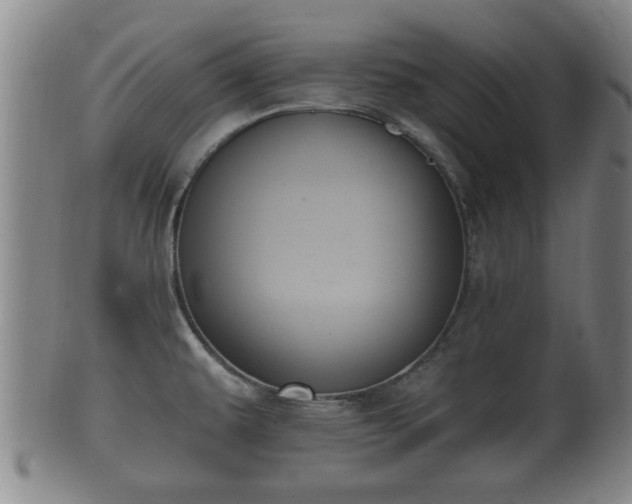 X0000100871479200806271100