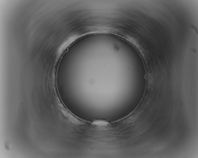 X0000100871480200806271100