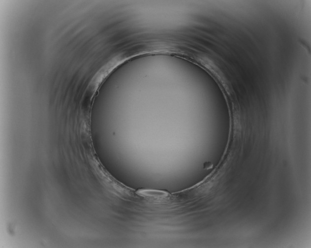 X0000100871481200806271100