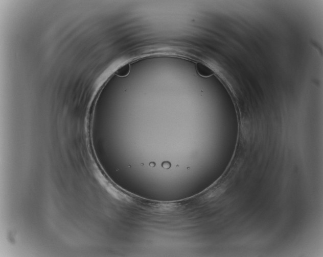 X0000100871482200806271100